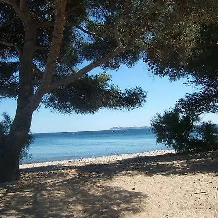 Daire Amiraute *